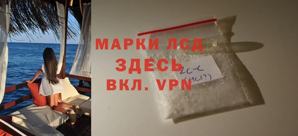 крисы Бородино