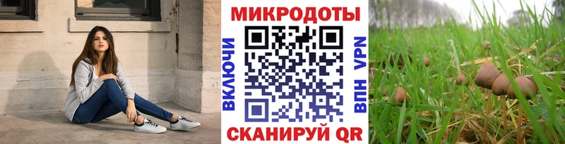 Галлюциногенные грибы прущие грибы  Миньяр 
